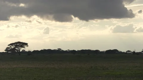 Amboseli at sunset Stock Footage 136128658