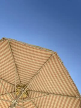Ambrella 1 Stock Photos