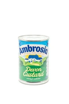 Ambrosia Devon Custard Stock Photos