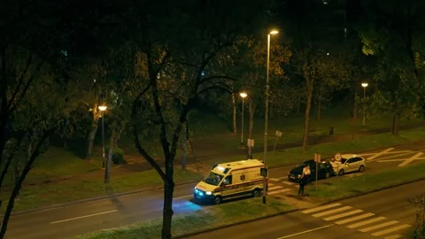 Ambulance Beside Roadside Under Glowing Streetlights at Night Stock Footage 337232946
