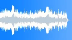 Ambulance siren 01 loop Sound Effect