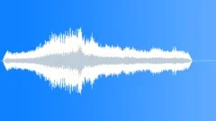 Ambulance siren in Manhattan Sound Effect