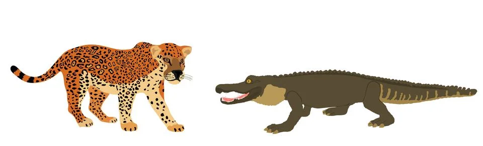 Ambush jaguar attack alligator vector illustration isolated. イラスト素材