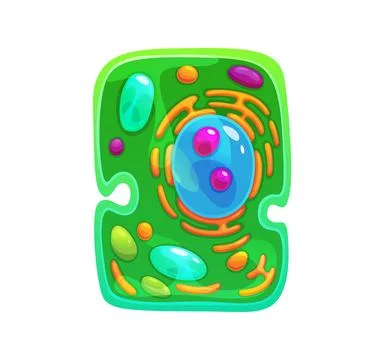 Ameba cell, germ microorganism, bacteria bacillus Stock Illustration