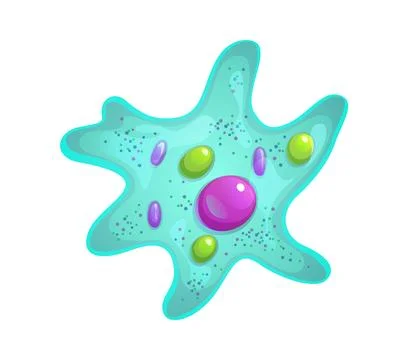 Ameba or bacteria bacillus microorganism and germ Stock Illustration