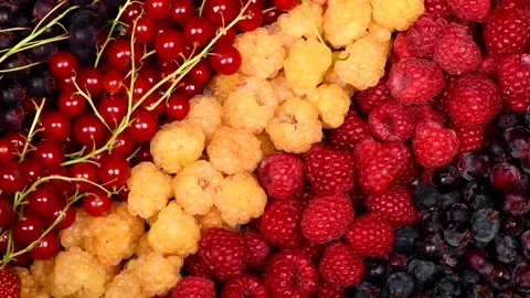 Amelanchier, raspberry and red currant. Top view. Loop motion. Stock Footage 160285032