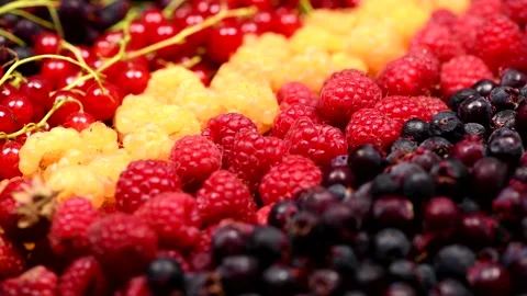 Amelanchier, raspberry and red currant. Side view. Loop motion. Stock Footage 160285812