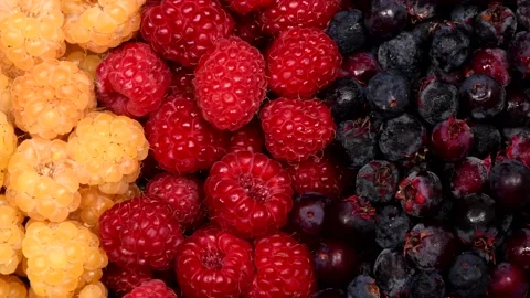 Amelanchier, raspberry and red currant. Top view. Loop motion. Stock Footage 160286364