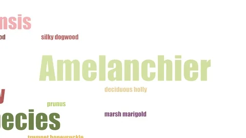 Amelanchier Wordcloud Animated On White Background Video stock 107206953