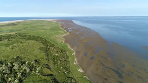 Ameland Dunes - 3 Stock Footage 165038061