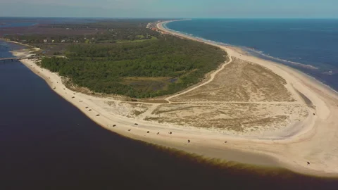 Amelia Island Vídeos de archivo 155209106