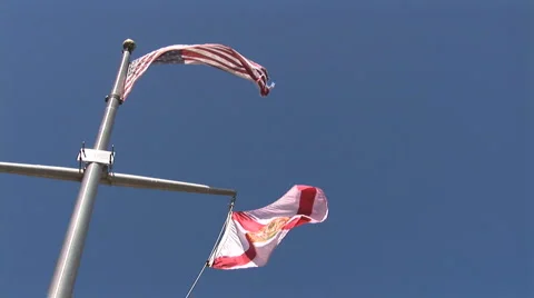 American and Florida flags Video stock 914244