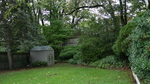 An American backyard on rainy fall day Stock Footage 217940892