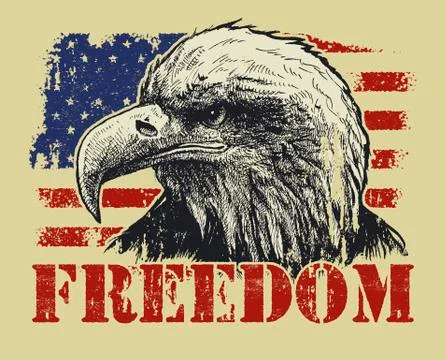 American Bald Eagle and Flag Illustrazione stock