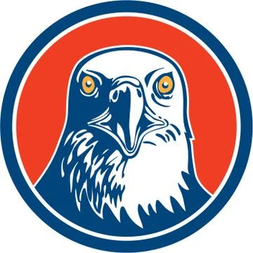 American bald eagle head circle retro Stock Illustration