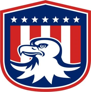 American bald eagle head flag shield retro Stock Illustration