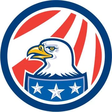 American bald eagle head flag circle retro Stock Illustration