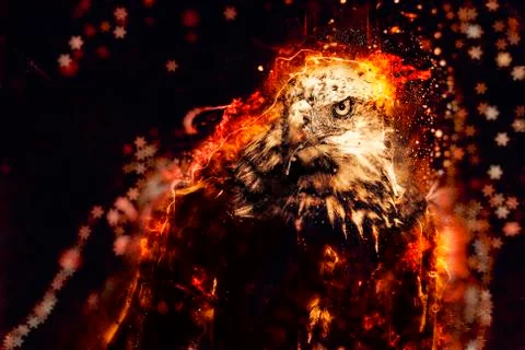 American Bald Eagle illustration Stock Illustration