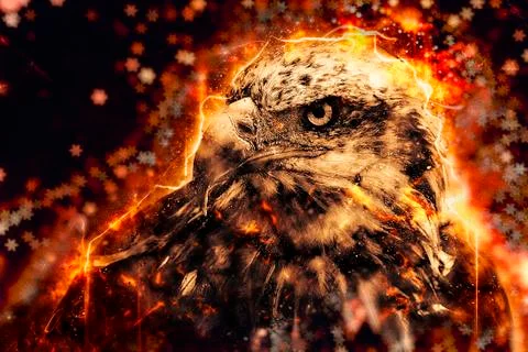 American Bald Eagle illustration Stock Illustration