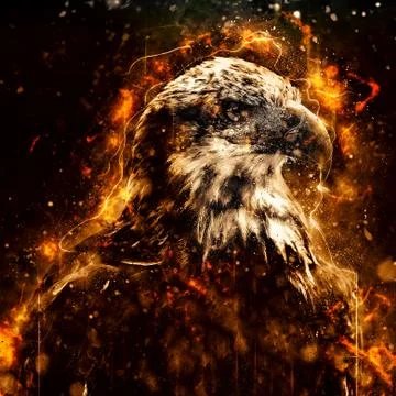 American Bald Eagle illustration Stock Illustration