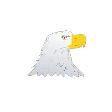 American Bald Eagle or Hawk Head Mascot Graphic, Bird facing side. Vector ill Stock Illustration