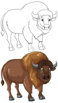 American Bison Vector Illustration in Colored and Line Art Styles Stock Illustration