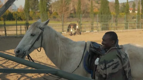 American Black man preparing white horse Stock Footage 168255052
