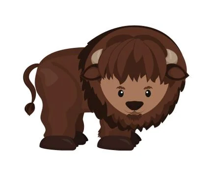 American buffalo, wild bison Stock Illustration