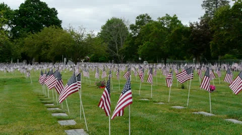 American Cemetery Video stock 24147154