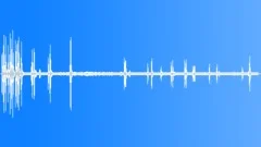 American Crow MD Typical Sound Effect