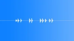 American CrowSound Effect
