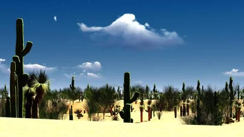 American desert Stock Illustration