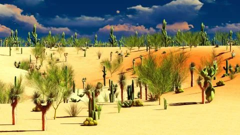 American desert Stock Illustration