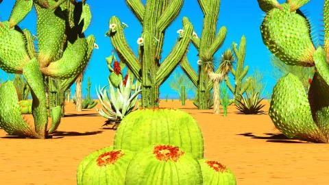 American desert Stock-Illustration