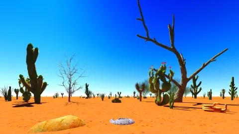 American desert Stock Illustration