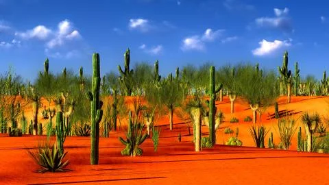 American desert Stock Illustration