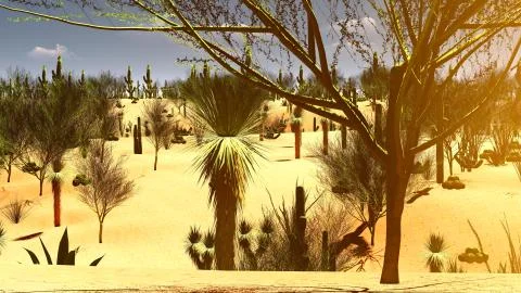 American desert Stock Illustration