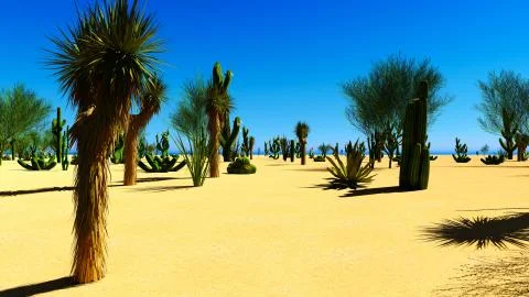 American desert Stock Illustration