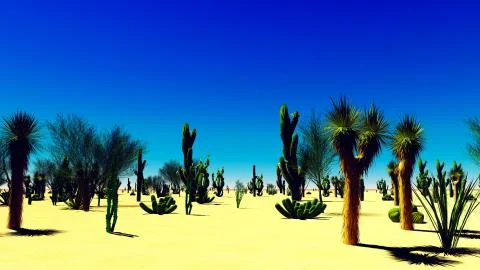 American desert Illustrazione stock