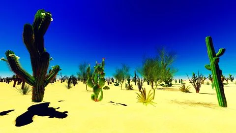 American desert Stock Illustration