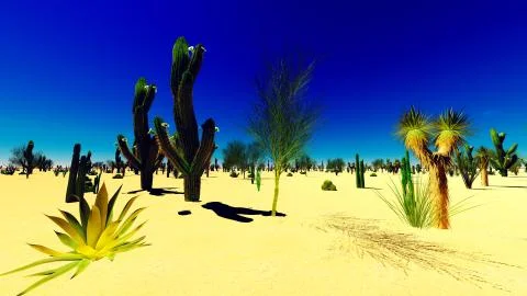 American desert Stock Illustration