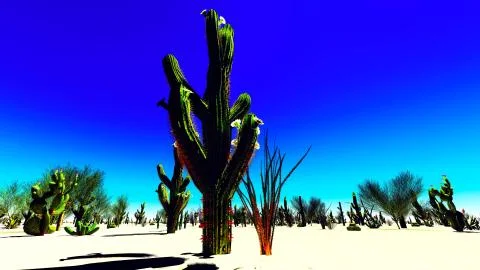 American desert Stock Illustration