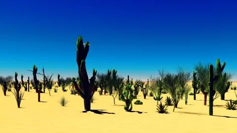 American desert Stock Illustration