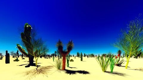 American desert Stock Illustration