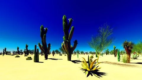 American desert Stock Illustration