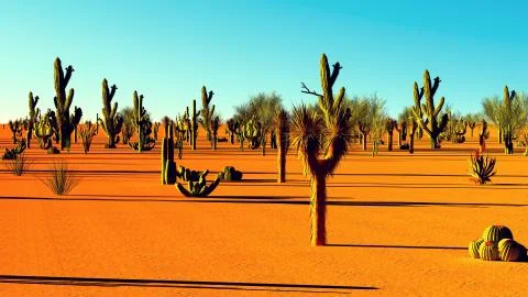 American desert Stock Illustration