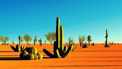 American desert Stock Illustration