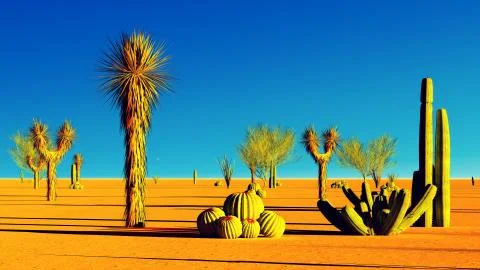 American desert Stock Illustration