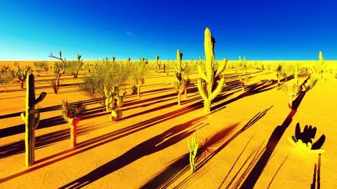 American desert Stock-Illustration