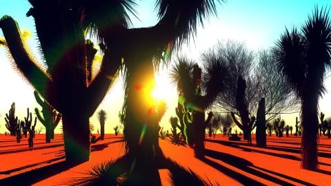 American desert Stock Illustration